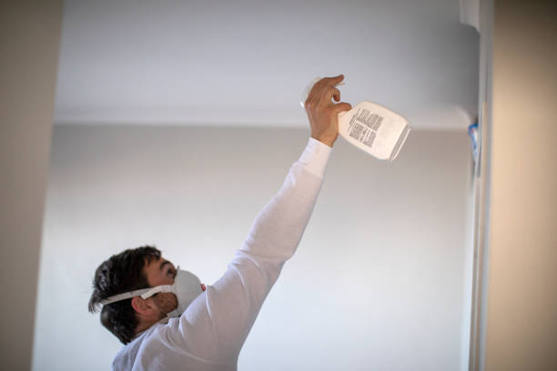 Best Best Mold Removal Companies  in Cnelius, OR