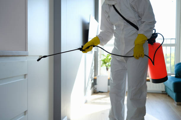 Certified Mold Removal in Cornelius, OR